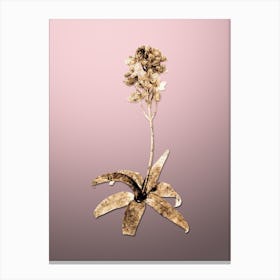 Gold Botanical Sun Star on Rose Quartz n.2227 Canvas Print