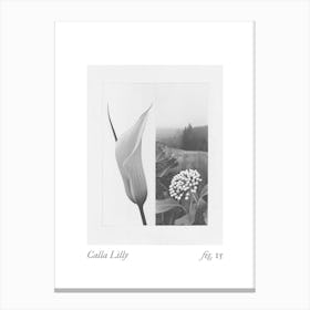 Calla Lilly Botanical Collage 3 Canvas Print