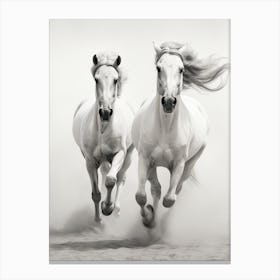 Two White Horses Running Canvas Print