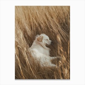 Dog In The Grass.Generated AI. Art Print Canvas Print