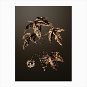 Gold Botanical American Sweetgum on Chocolate Brown n.0621 Canvas Print