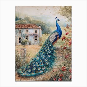 Peacock On The Wall Watercolour 1 Canvas Print