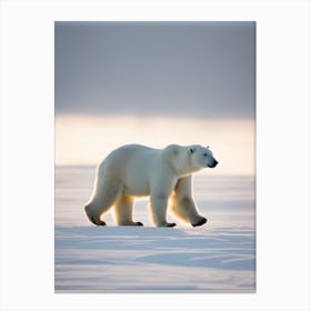 Polar Bear Walking Canvas Print