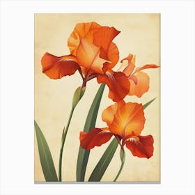 2024 May Poster Canvas Sng Iris 4 Canvas Print