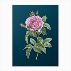 Vintage Pink French Rose Botanical Art on Teal Blue n.0232 Canvas Print