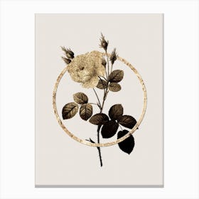 Gold Ring White Misty Rose Glitter Botanical Illustration n.0216 Canvas Print