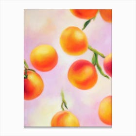 Apricot 2 Painting Fruit Canvas Print
