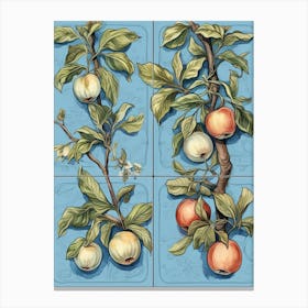 Apples Illustration 5 Canvas Print