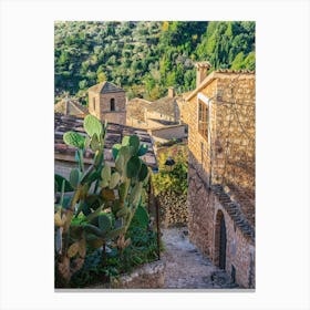Spain Mallorca, Cactus In The Village Canvas Print