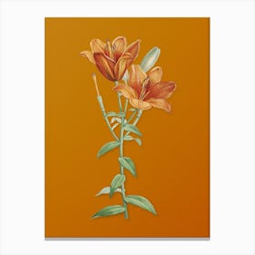 Vintage Orange Bulbous Lily Botanical on Sunset Orange n.0480 Canvas Print