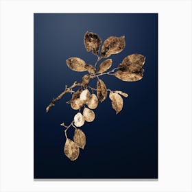 Gold Botanical Cherry on Midnight Navy n.2132 Canvas Print