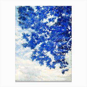 Summer Sky Canvas Print