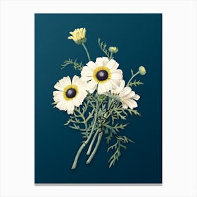 Vintage Chrysanthemum Botanical Art on Teal Blue n.0157 Canvas Print