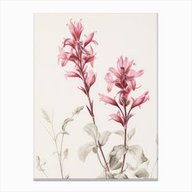 Vintage Pink Flower Blooms Canvas Print