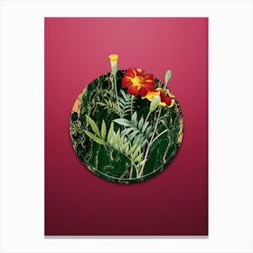 Vintage Mexican Marigold Botanical in Gilded Marble on Viva Magenta n.0045 Canvas Print