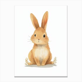 Chinchilla Rabbit Kids Illustration 2 Canvas Print