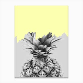 Pineapple art Canvas Print