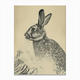 Jersey Wooly Rabbit Drawing 2 Canvas Print