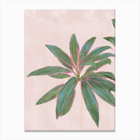 Pink And Green Plant Tropical Pink Diamond Cordylines - left of 2 pair Canvas Print