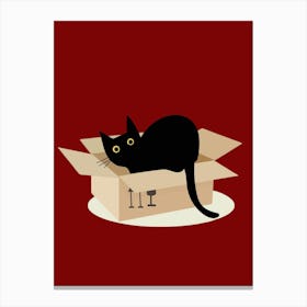 Black Cat In A Box Canvas Print