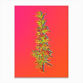 Neon Rosemary Botanical in Hot Pink and Electric Blue n.0165 Canvas Print