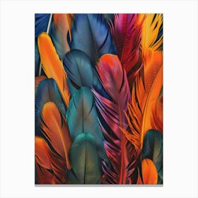 Colorful Feathers 14 Canvas Print