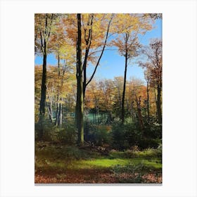 Autumn Forest Canvas Print