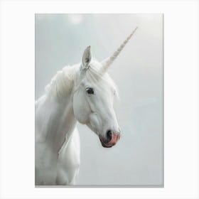 White Unicorn 8 Canvas Print