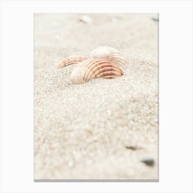 Shells in Sand_2262135 Canvas Print