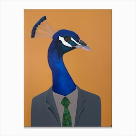 Peacock In Suit Canvas Print
