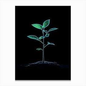 Green Plant Growing On Black Background 1 Canvas Print