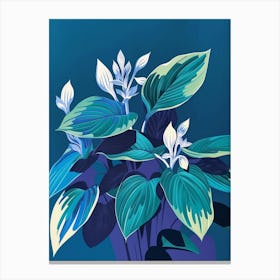 Hosta Plant Minimalist Illustration 1 Canvas Print