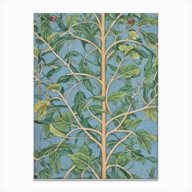 Quercus Rubra 2 tree Vintage Botanical Canvas Print