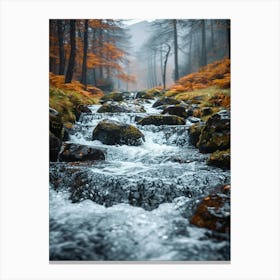 Autumn Stream In The Forest Canvas Print