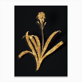 Vintage Spanish Bluebell Botanical in Gold on Black n.0374 Canvas Print