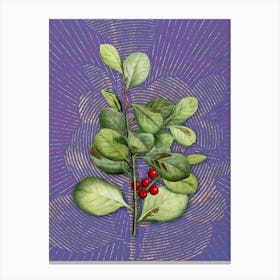 Vintage Lingonberry Evergreen Shrub Botanical Illustration on Veri Peri n.0429 Canvas Print