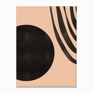 Circles Canvas Print