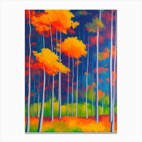 Autumn Forest 4 Canvas Print