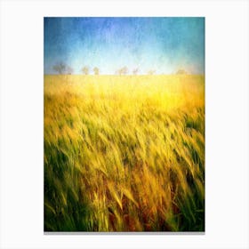 Golden Barley Field Canvas Print
