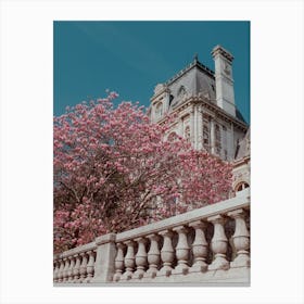 Pink Blossom In Paris Canvas Print