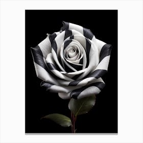 Black And White Rose 2 Canvas Print