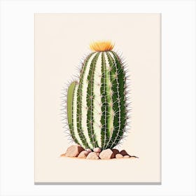 Parodia Cactus Marker Art 2 Canvas Print