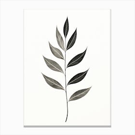 Minimal Leaves Canvas Print