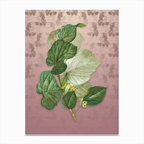 Vintage Linden Tree Botanical on Dusty Pink Pattern Canvas Print