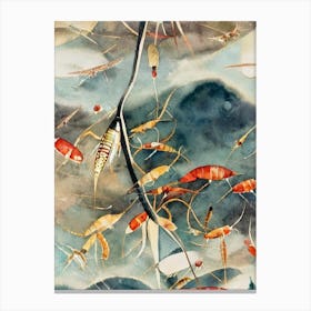 Zooplankton Vintage Graphic Watercolour Canvas Print