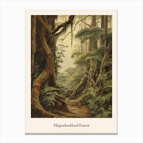 Magoebaskloof Forest Canvas Print