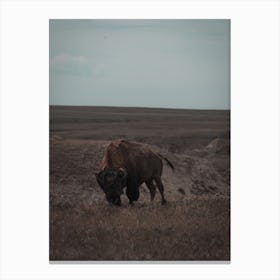 South Dakota Wildlife Canvas Print