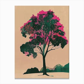 Sycamore Tree Colourful Illustration 3 Canvas Print