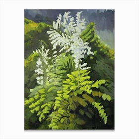 Mountain Spleenwort Cézanne Style Canvas Print