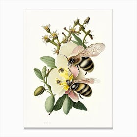 Pollination Bees 2 Vintage Canvas Print